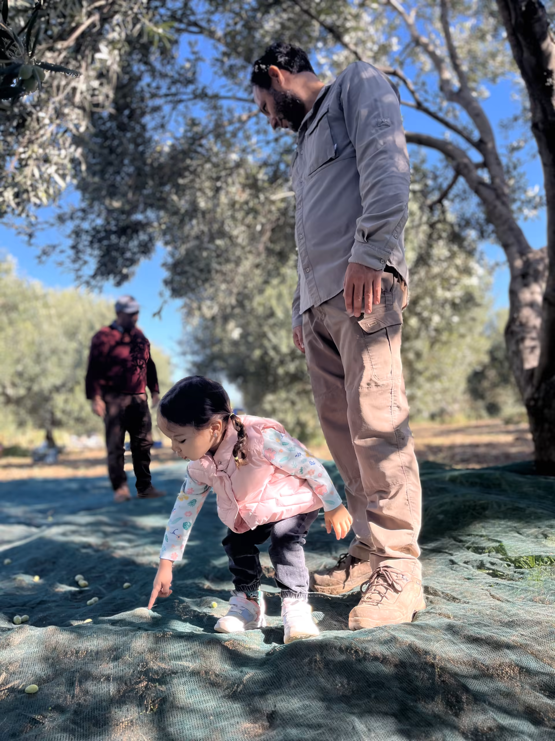 Hasat Kahramanı